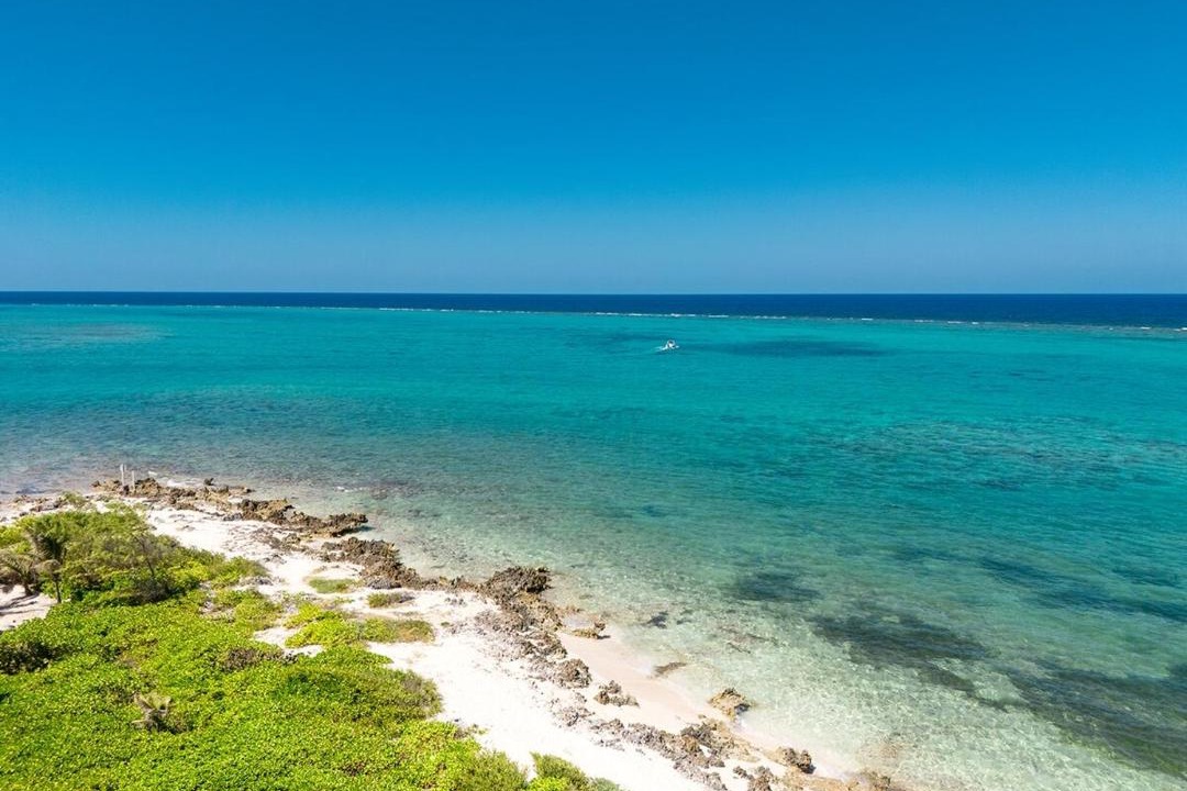 Photo of Others in Rum Point