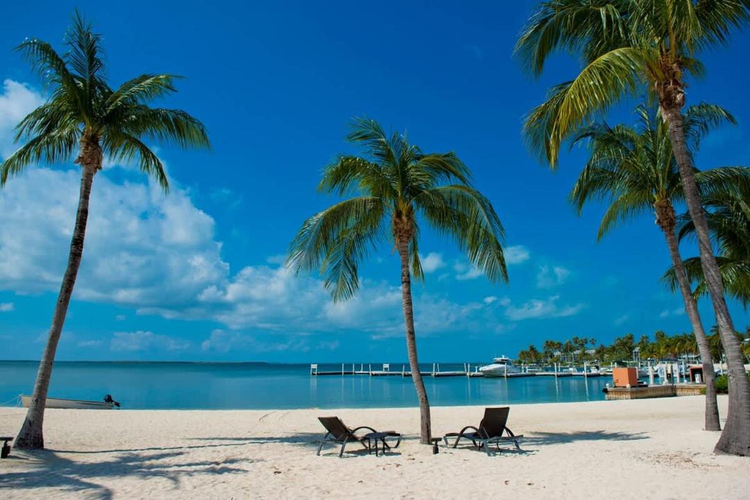 Photo of Others in Rum Point