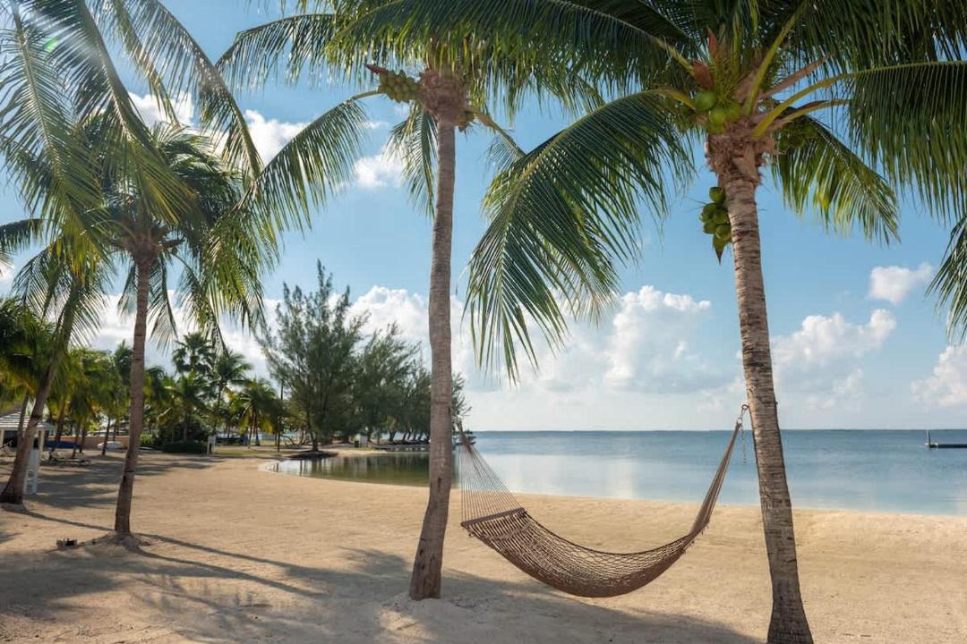 Photo of Others in Rum Point