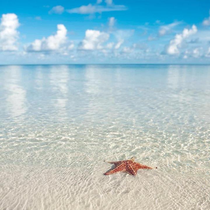 Photo of Others in Rum Point