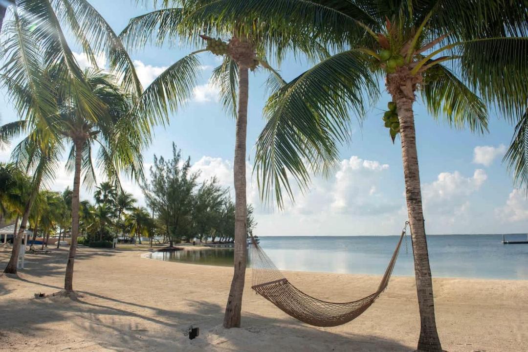 Photo of Others in Rum Point