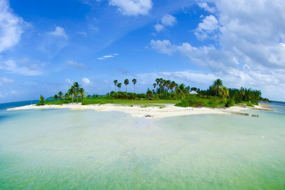 Photo of Others in Rum Point