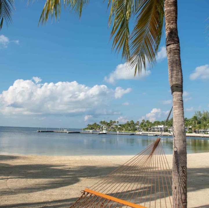 Photo of Others in Rum Point