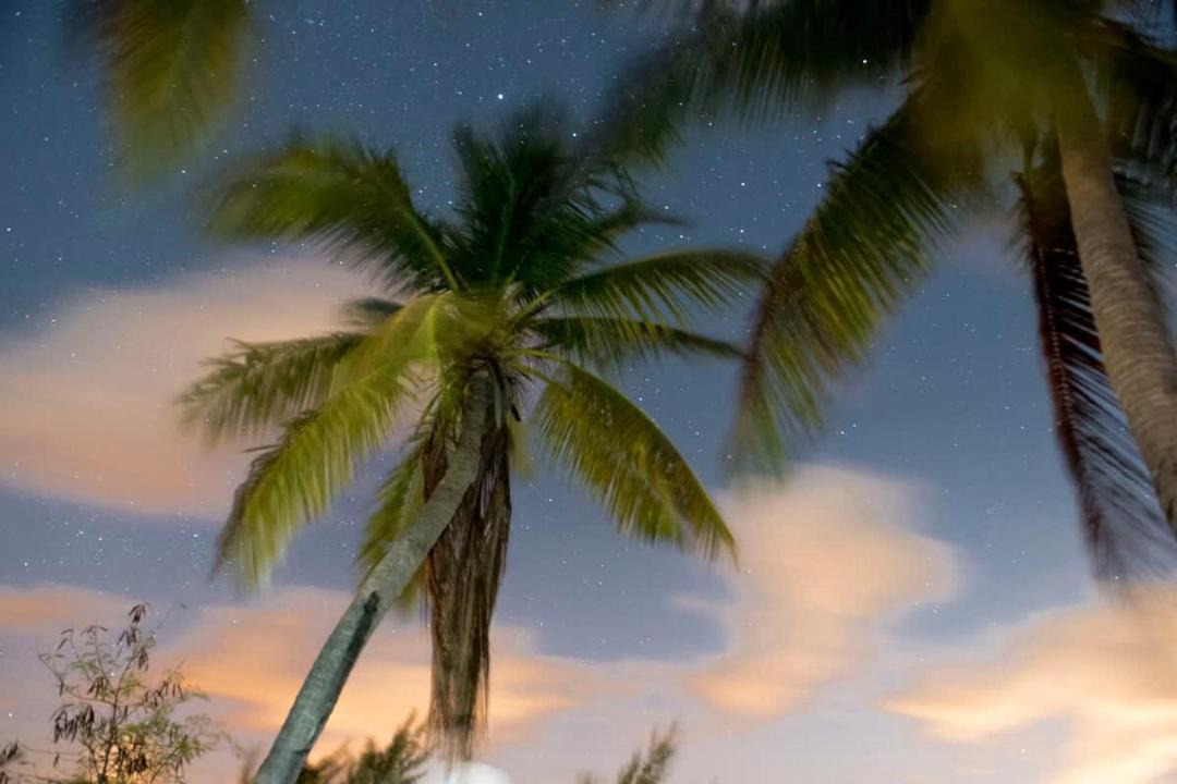 Photo of Others in Rum Point