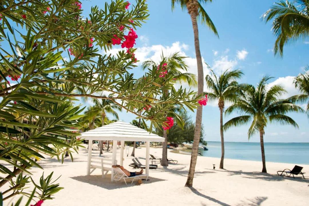 Photo of Others in Rum Point