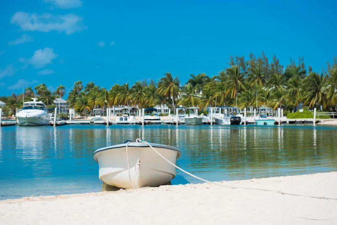 Photo of Others in Rum Point