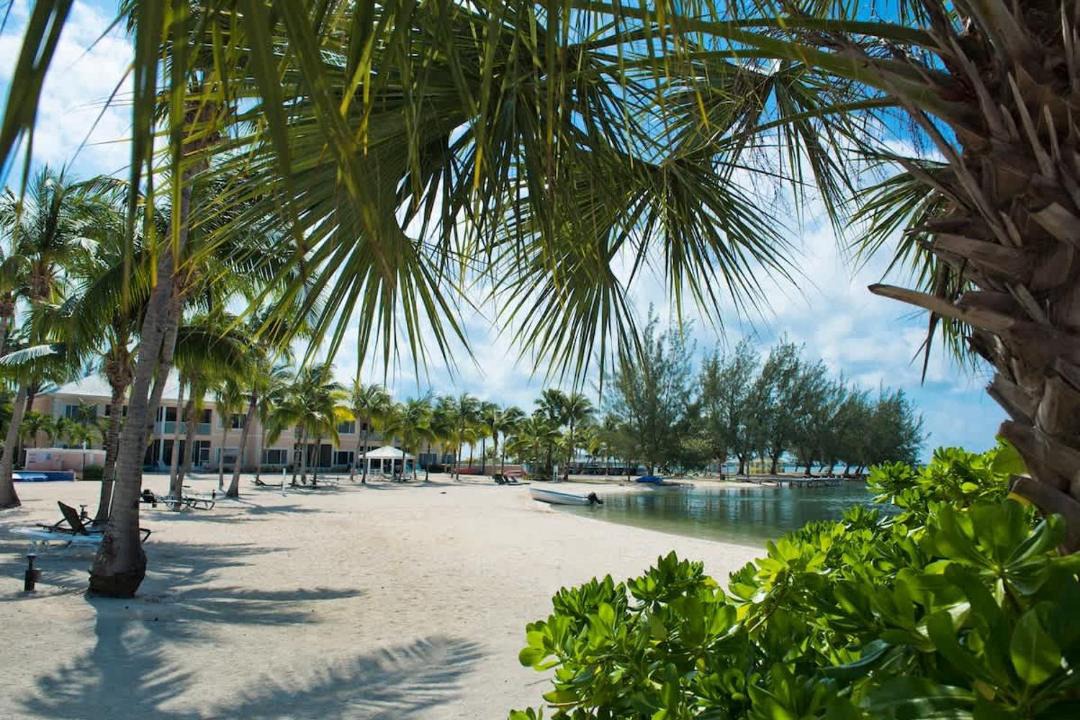 Photo of Others in Rum Point