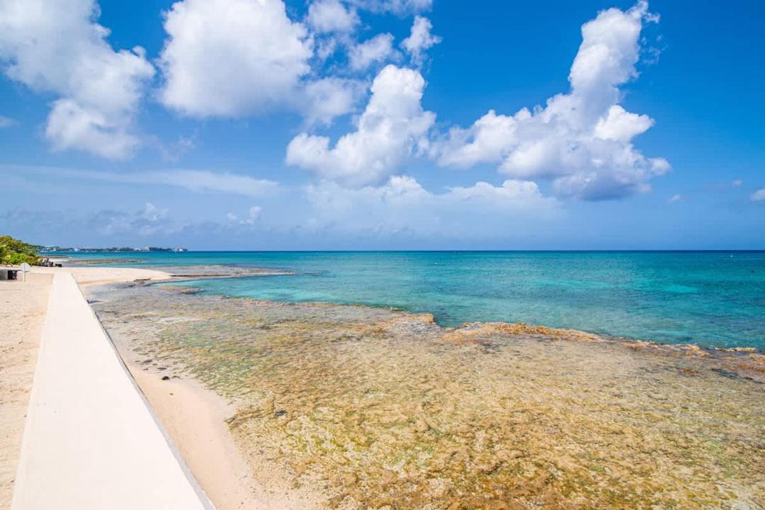 Photo of Others in Seven Mile Beach