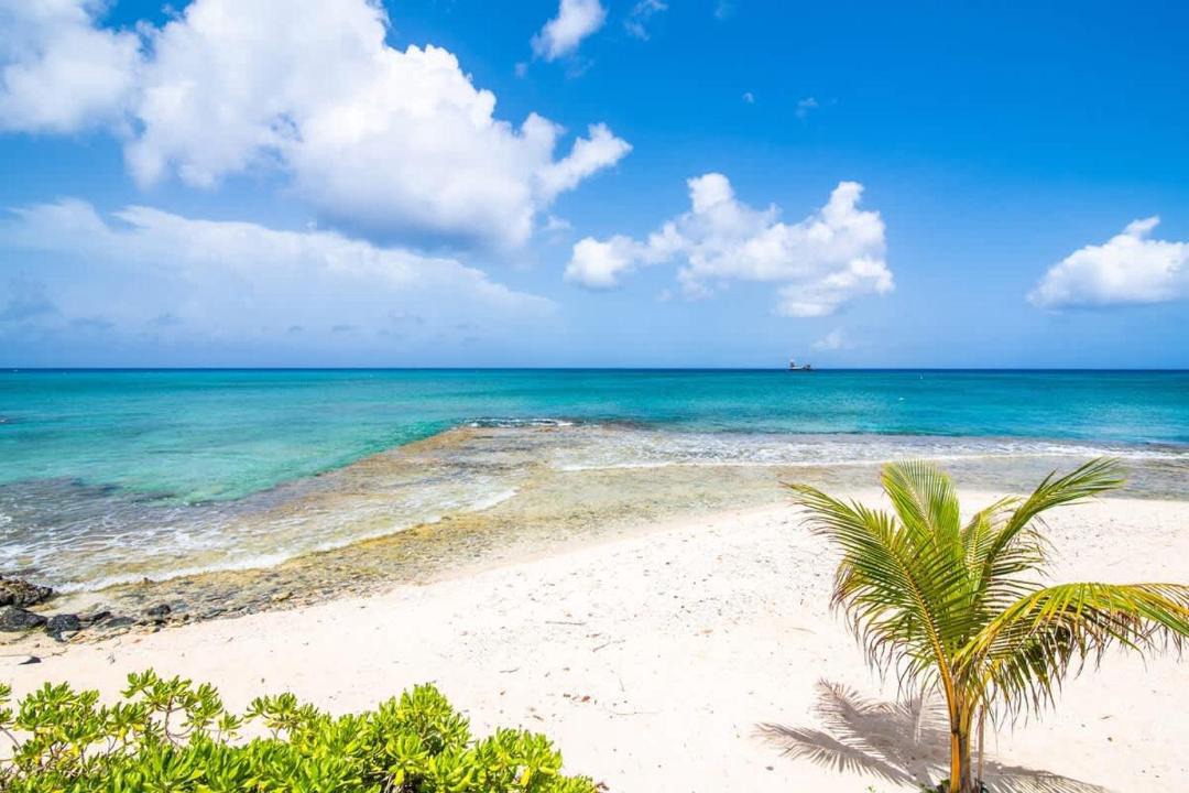 Photo of Others in Seven Mile Beach