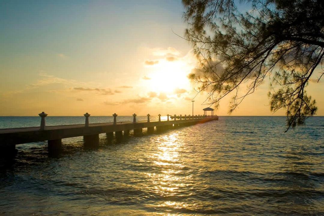 Photo of Others in Rum Point