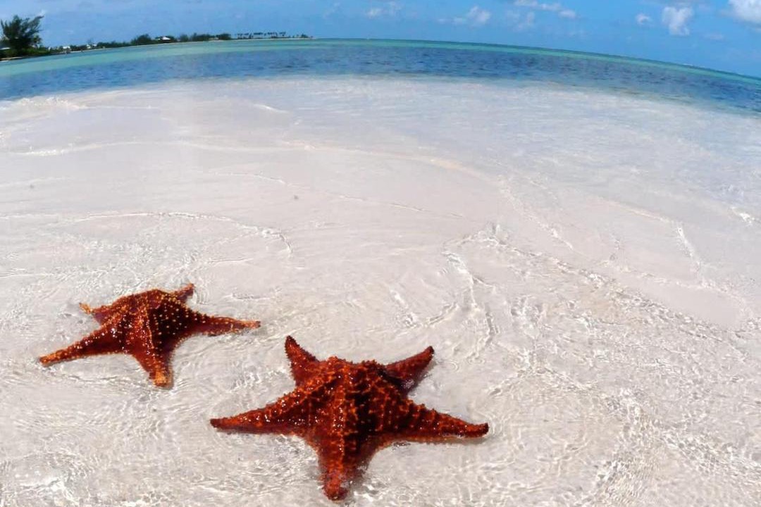 Photo of Others in Rum Point