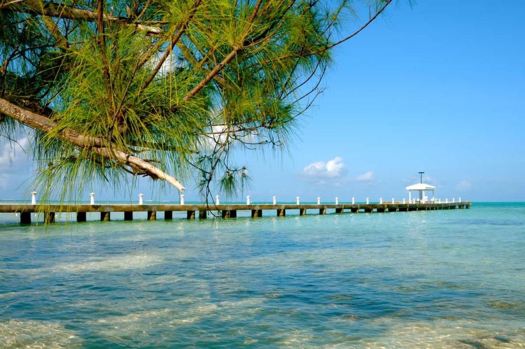 Photo of Others in Rum Point