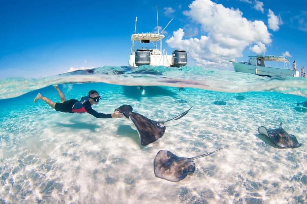 Photo of Others in Rum Point