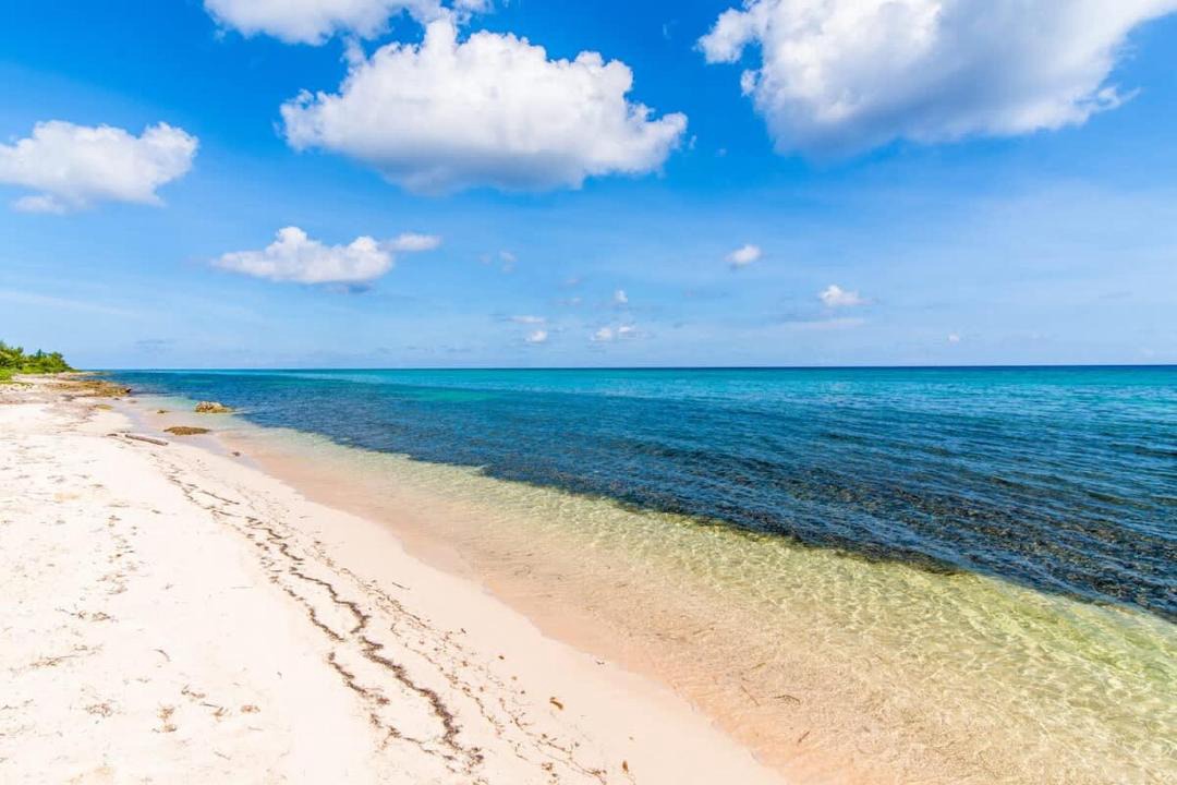Photo of Others in Rum Point