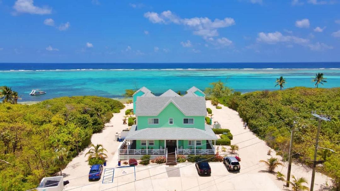 Photo of Others in Colliers Bay