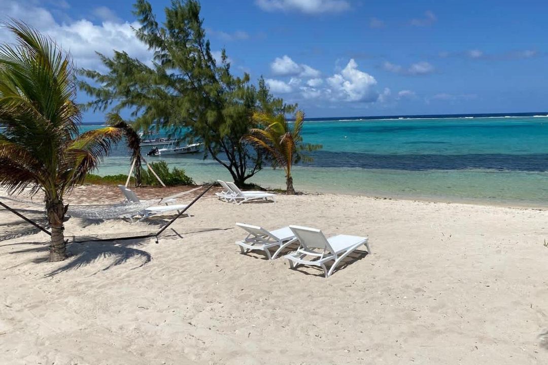 Photo of Others in Colliers Bay
