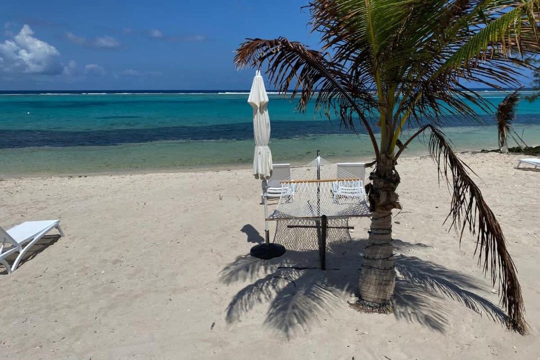 Photo of Others in Colliers Bay