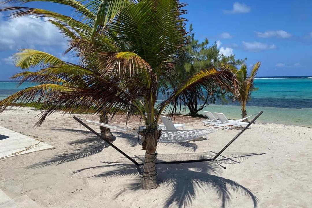 Photo of Others in Colliers Bay