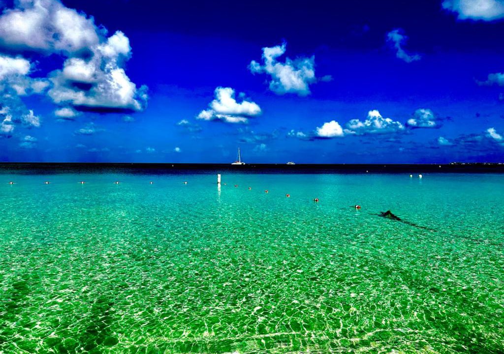 Photo of Others in Seven Mile Beach