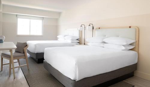 Studio with Two Queen Beds and Sofa Bed