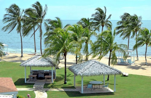 Crystal Harbour Apartment | Carribean Dream! 3 Island View Units, Oceanfront, Minutes to Seven Mile Beach!